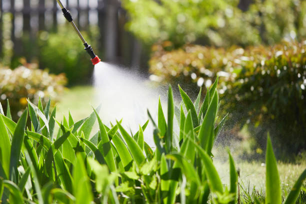 24/7 Emergency Mosquito Control experts in Rice Lake, MN