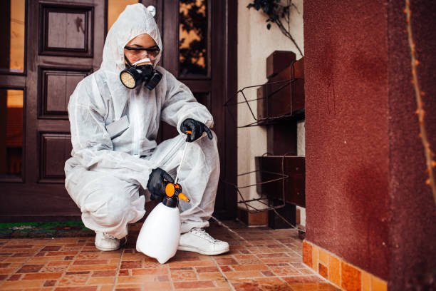 Reliable Mosquito Control contractor in Rice Lake, MN by Show Me Pest Control